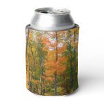 Fall Maple Trees Autumn Nature Photography Can Cooler