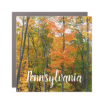 Fall Maple Trees Autumn Nature Photography Car Magnet