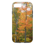Fall Maple Trees Autumn Nature Photography iPhone 8/7 Case
