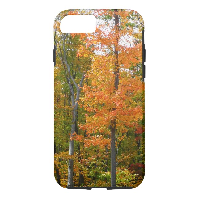 Fall Maple Trees Autumn Nature Photography Case-Mate iPhone Case (Back)