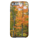 Fall Maple Trees Autumn Nature Photography Tough iPhone 6 Case