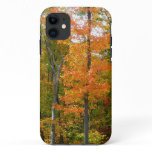 Fall Maple Trees Autumn Nature Photography iPhone 11 Case