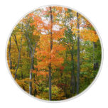 Fall Maple Trees Autumn Nature Photography Ceramic Knob