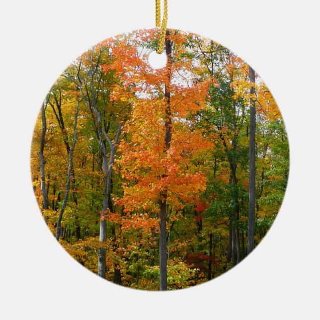 Fall Maple Trees Autumn Nature Photography Ceramic Ornament (Front)