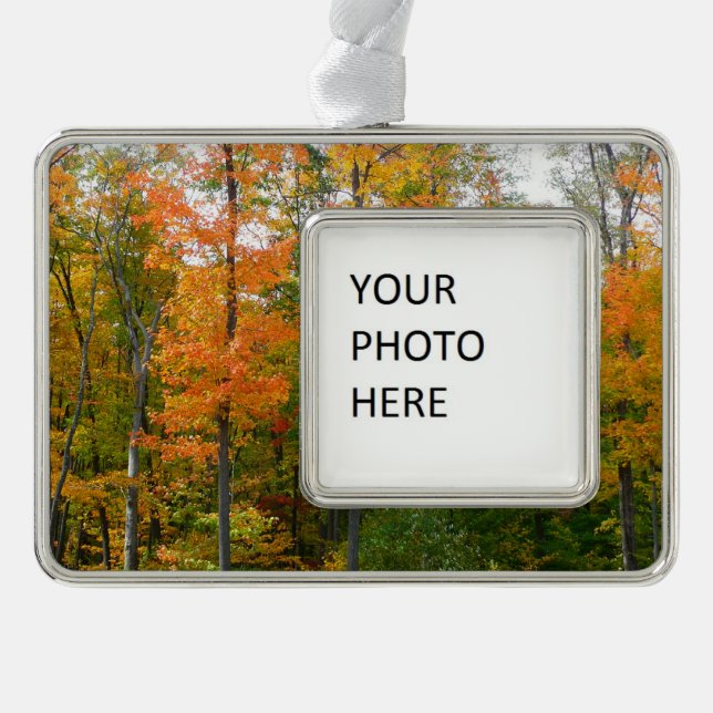 Fall Maple Trees Autumn Nature Photography Christmas Ornament (Front)