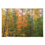 Fall Maple Trees Autumn Nature Photography Cloth Placemat