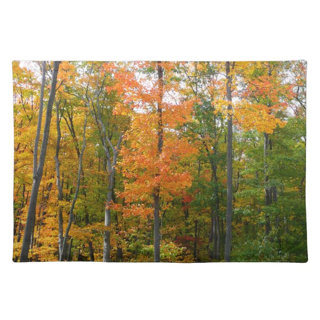 Fall Maple Trees Autumn Nature Photography Cloth Placemat (Front)