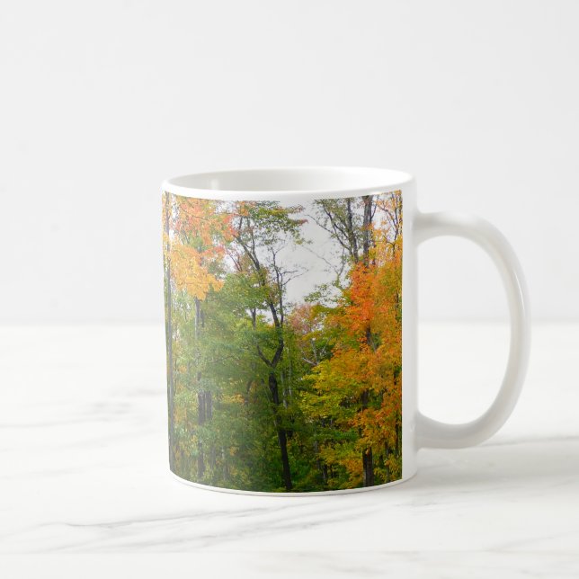 Fall Maple Trees Autumn Nature Photography Coffee Mug (Right)