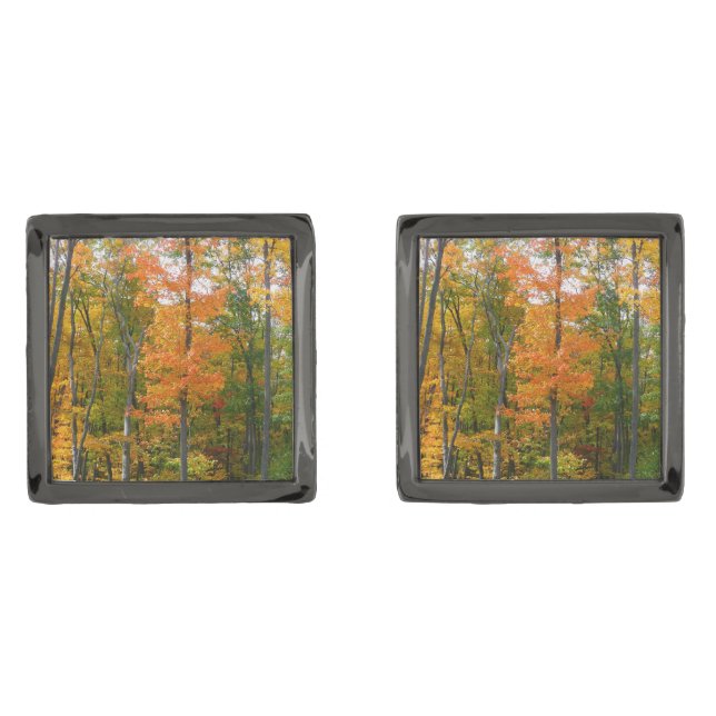 Fall Maple Trees Autumn Nature Photography Cufflinks (Front)