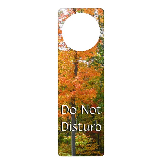 Fall Maple Trees Autumn Nature Photography Door Hanger (Front)