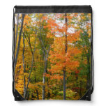 Fall Maple Trees Autumn Nature Photography Drawstring Bag