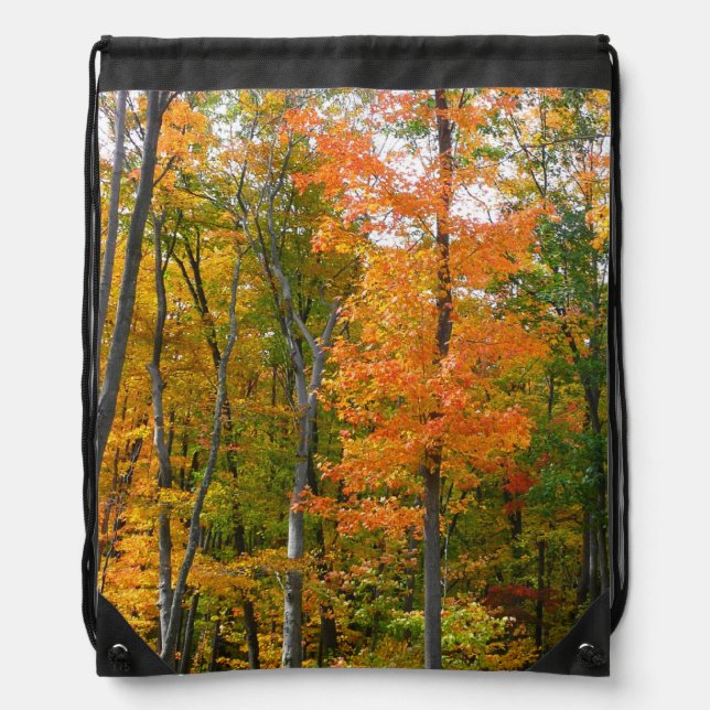Fall Maple Trees Autumn Nature Photography Drawstring Bag (Front)
