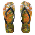 Fall Maple Trees Autumn Nature Photography Flip Flops