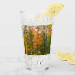 Fall Maple Trees Autumn Nature Photography Glass