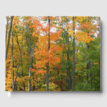 Fall Maple Trees Autumn Nature Photography Guest Book