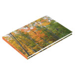 Fall Maple Trees Autumn Nature Photography Guest Book