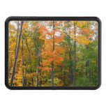 Fall Maple Trees Autumn Nature Photography Hitch Cover
