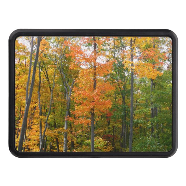 Fall Maple Trees Autumn Nature Photography Hitch Cover (Front)
