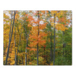 Fall Maple Trees Autumn Nature Photography Jigsaw Puzzle