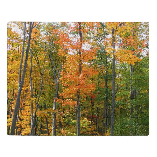 Fall Maple Trees Autumn Nature Photography Jigsaw Puzzle (Puzzle Horizontal)