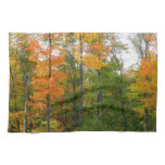 Fall Maple Trees Autumn Nature Photography Kitchen Towel