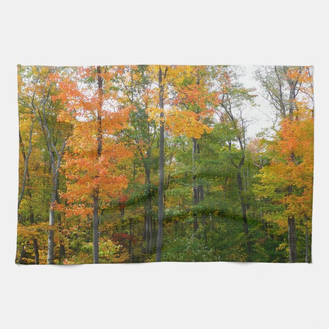 Fall Maple Trees Autumn Nature Photography Kitchen Towel (Horizontal)