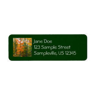 Fall Maple Trees Autumn Nature Photography Label