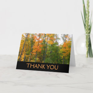 Fall Maple Trees Autumn Nature Photography Letterpress Thank You Card