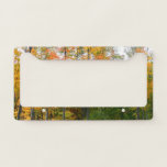 Fall Maple Trees Autumn Nature Photography License Plate Frame