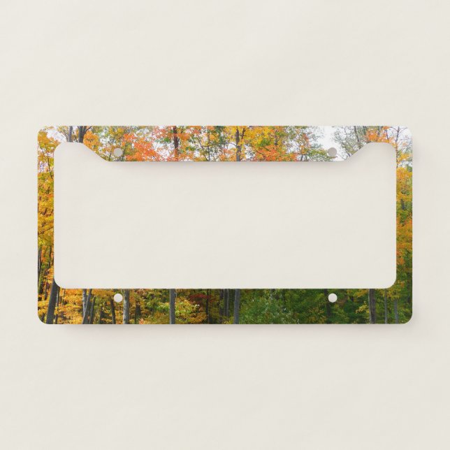 Fall Maple Trees Autumn Nature Photography License Plate Frame (Front)