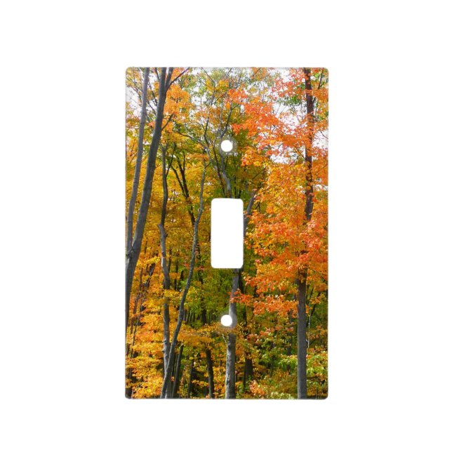 Fall Maple Trees Autumn Nature Photography Light Switch Cover (Front)