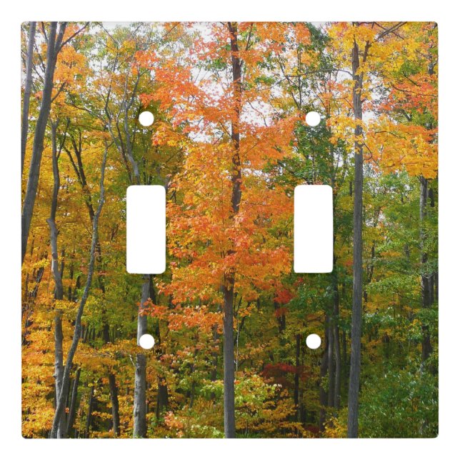Fall Maple Trees Autumn Nature Photography Light Switch Cover (Front)