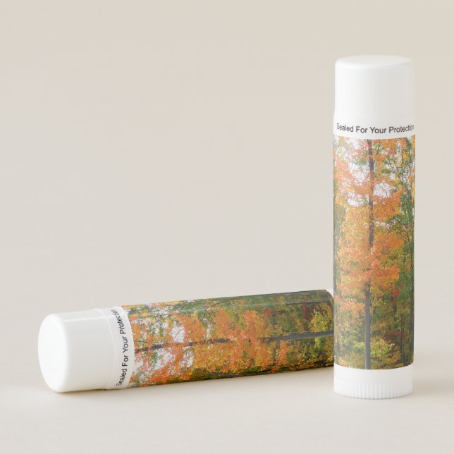 Fall Maple Trees Autumn Nature Photography Lip Balm (Front)