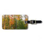 Fall Maple Trees Autumn Nature Photography Luggage Tag
