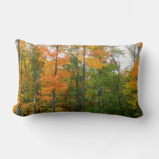 Fall Maple Trees Autumn Nature Photography Lumbar Pillow