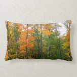 Fall Maple Trees Autumn Nature Photography Lumbar Pillow