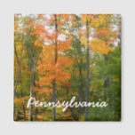 Fall Maple Trees Autumn Nature Photography Magnet