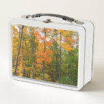 Fall Maple Trees Autumn Nature Photography Metal Lunch Box