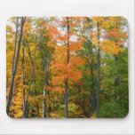 Fall Maple Trees Autumn Nature Photography Mouse Pad