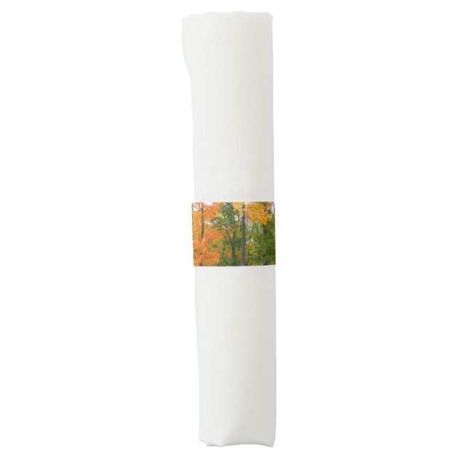 Fall Maple Trees Autumn Nature Photography Napkin Bands (Front)