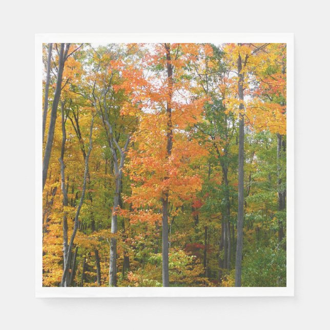 Fall Maple Trees Autumn Nature Photography Napkins (Front)