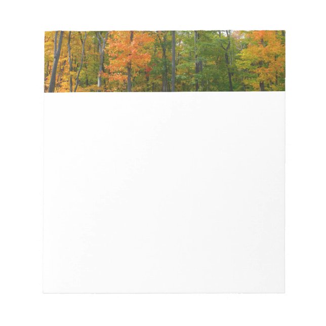 Fall Maple Trees Autumn Nature Photography Notepad (Front)