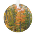 Fall Maple Trees Autumn Nature Photography Ornament