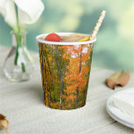 Fall Maple Trees Autumn Nature Photography Paper Cups