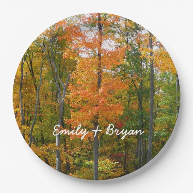 Fall Maple Trees Autumn Nature Photography Paper Plates (Front)