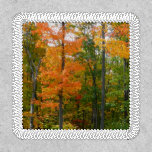 Fall Maple Trees Autumn Nature Photography Patch