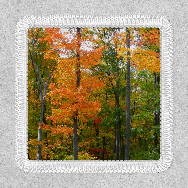Fall Maple Trees Autumn Nature Photography Patch (Front)
