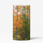 Fall Maple Trees Autumn Nature Photography Pillar Candle