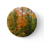 Fall Maple Trees Autumn Nature Photography Pinback Button