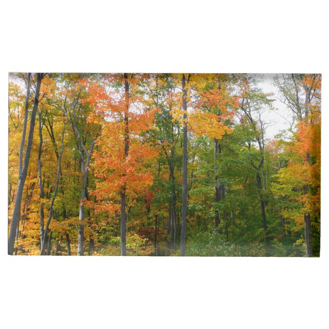 Fall Maple Trees Autumn Nature Photography Place Card Holder (Front)